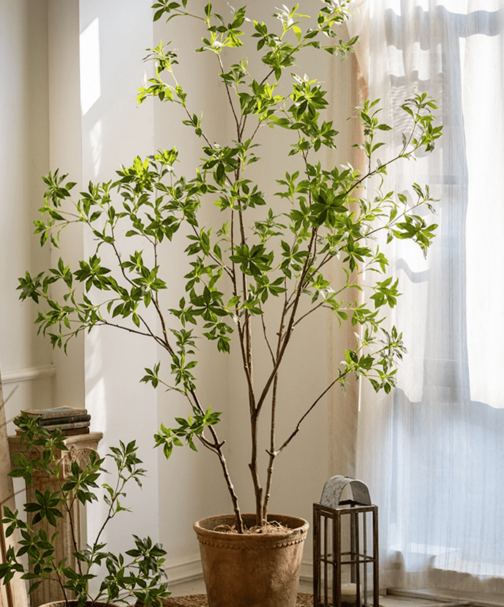 Artificial Japanese Enkianthus Tree, MED