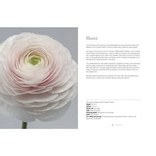 Load image into Gallery viewer, Ranunculus: Beautiful Varieties For Home and Garden
