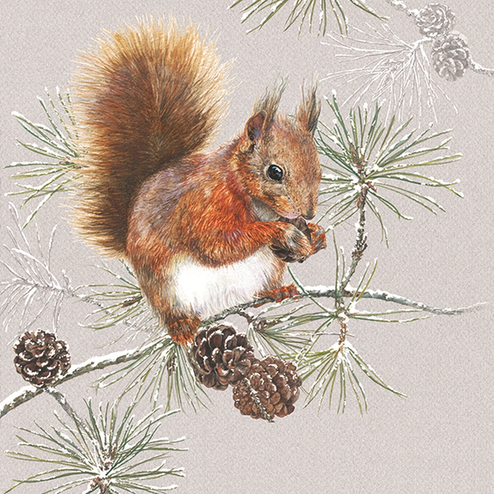 Bev- Squirrel in Winter