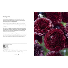 Load image into Gallery viewer, Ranunculus: Beautiful Varieties For Home and Garden
