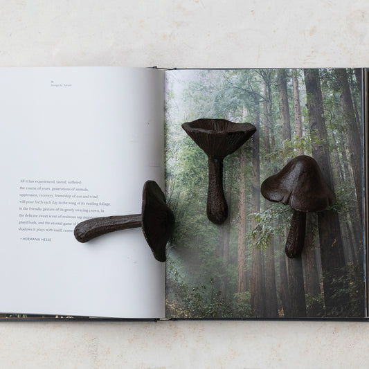 3 x 4" Cast Iron Mushroom