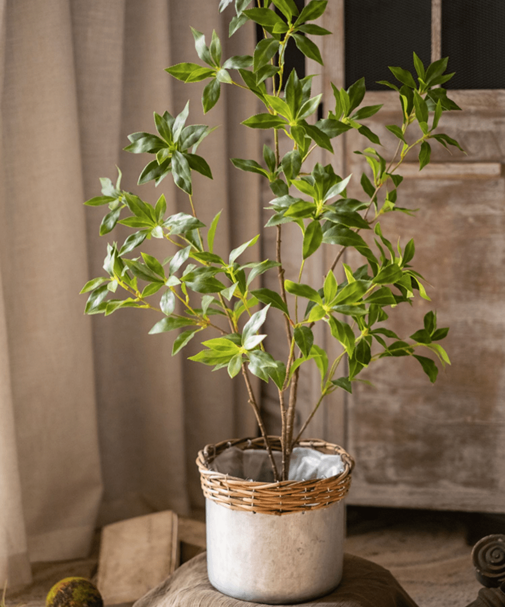 Artificial Japanese Enkianthus Tree, MED
