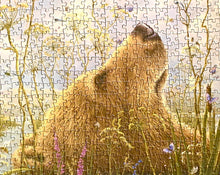 Load image into Gallery viewer, Robert Bissell: The Whole World 1000-Piece Jigsaw Puzzle
