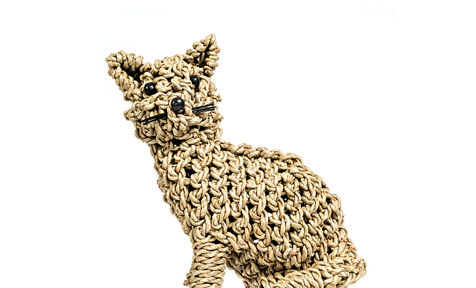 Seagrass Cat Medium