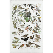 Load image into Gallery viewer, Garden Birds Organic Cotton Tea Towel
