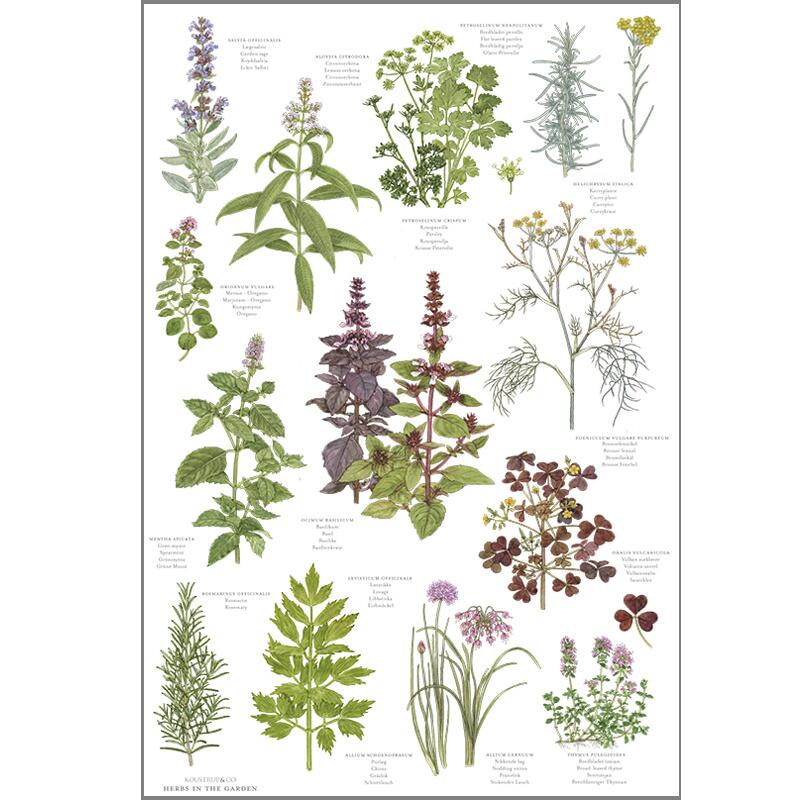 Herbs 100% Organic Cotton Tea Towel