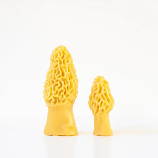 Morel Mushroom Beeswax Candle- Set of 2