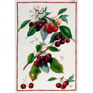 Demetra Ciliegie Kitchen Towel