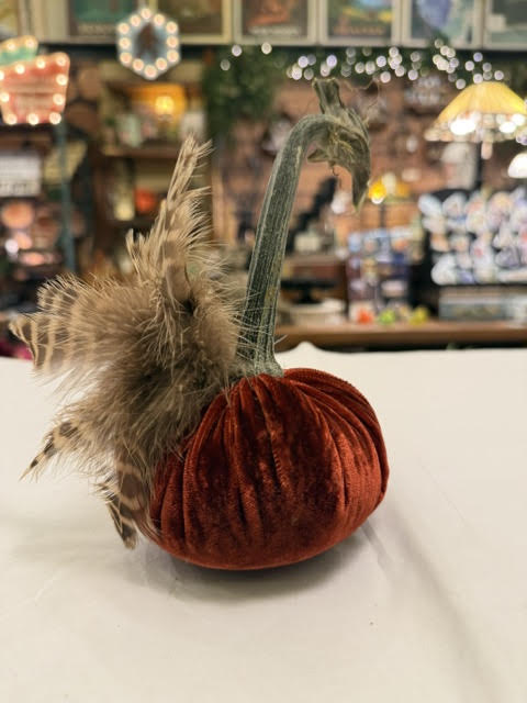 4" Velvet Pumpkin with Plume