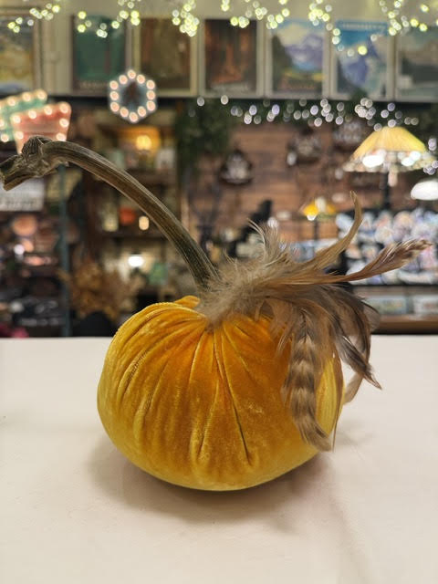 5" Pumpkin with Plume