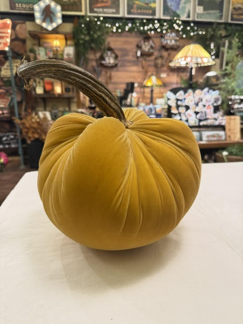 JJ Pumpkin