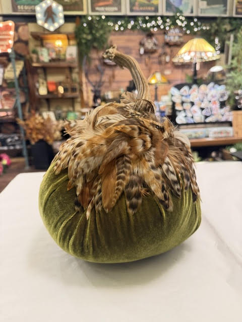 10" Pumpkin with Feather Collar