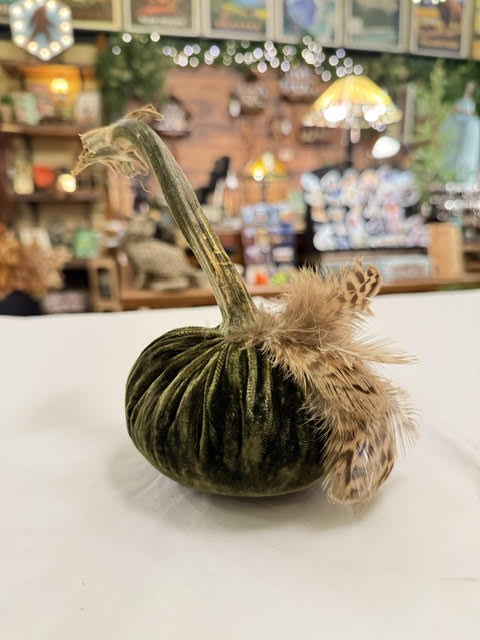4" Velvet Pumpkin with Plume