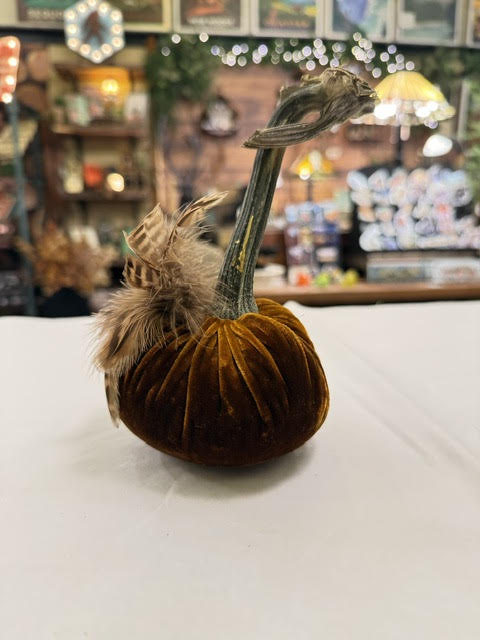 4" Velvet Pumpkin with Plume