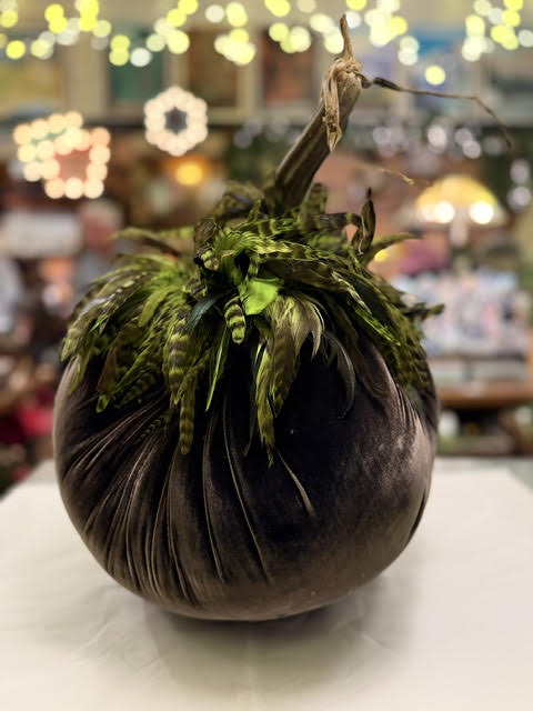 Jumbo Espresso Silk Velvet Pumpkin with Green Feather Collar