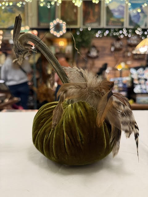5" Pumpkin with Plume