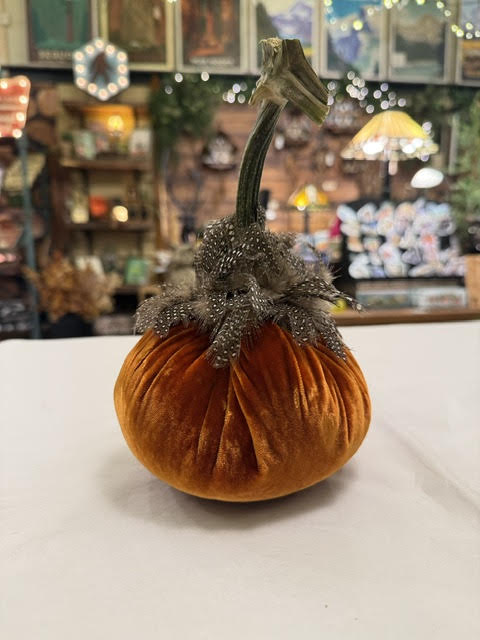 5" Velvet Pumpkin with Feather Collar
