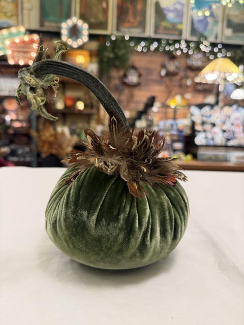 5" Velvet Pumpkin with Feather Collar