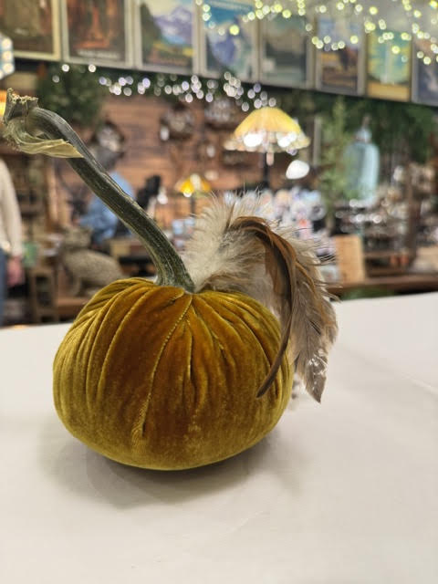 5" Pumpkin with Plume