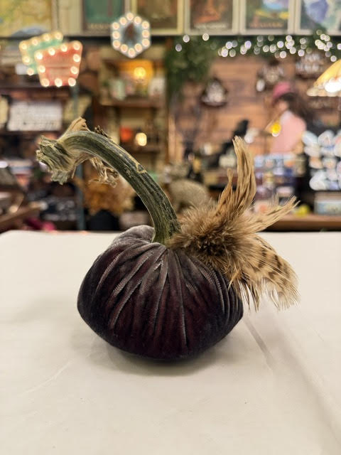 4" Velvet Pumpkin with Plume