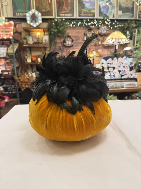 10" Pumpkin with Feather Collar