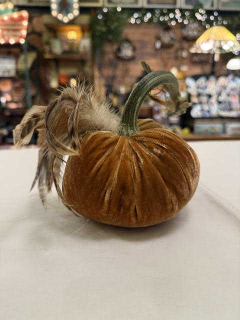 5" Pumpkin with Plume