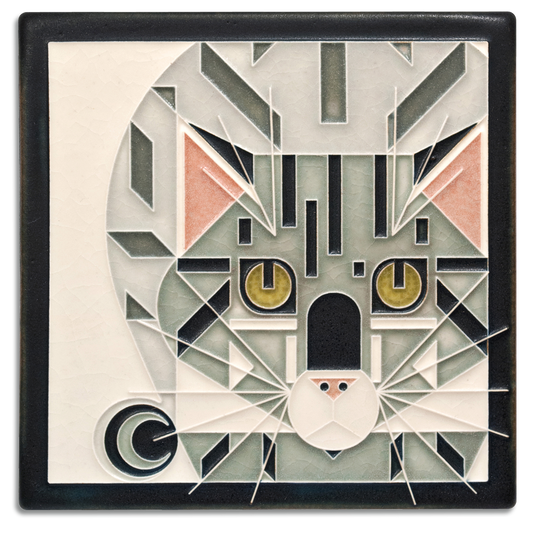 6X6 Catnip, Grey