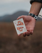 Load image into Gallery viewer, National Parks Playing Cards
