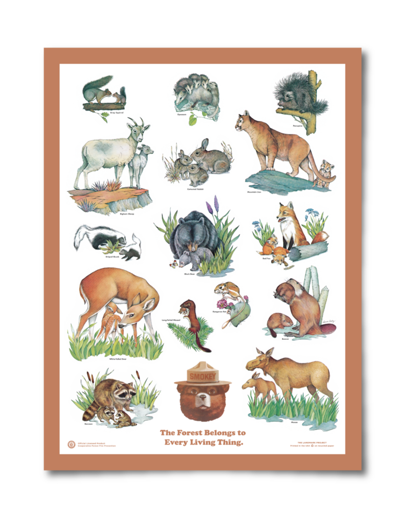 Baby Animals Poster, 18x24