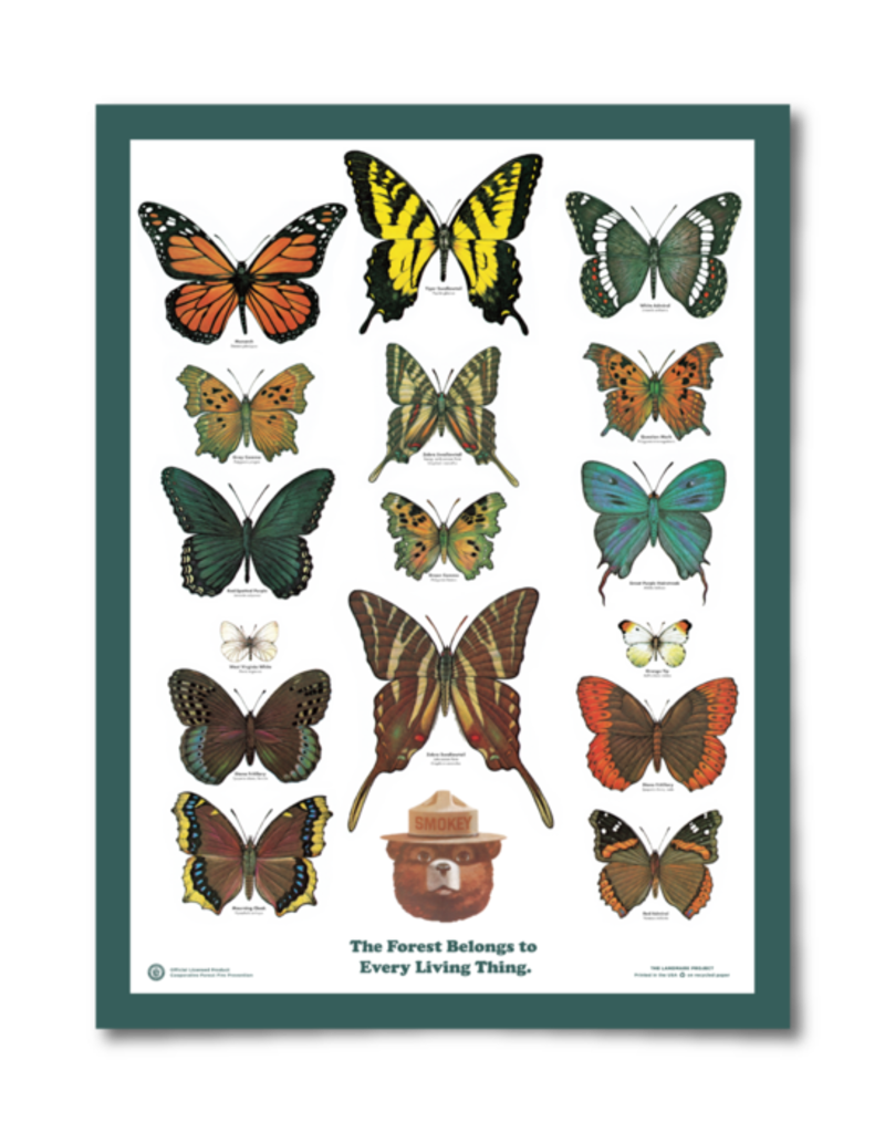 Butterflies/Forest Poster